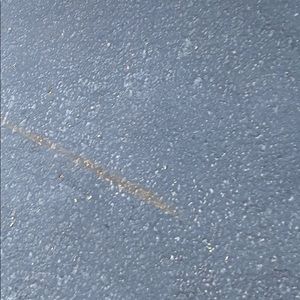 Meet your Posher, Bella